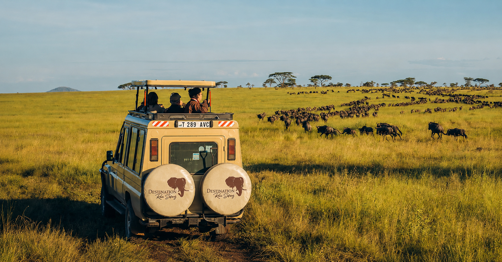 Safari privé en Tanzanie avec véhicule Destination Rêve Safaris dans la savane